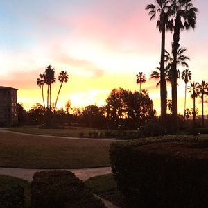 Meet your Posher, Ericka